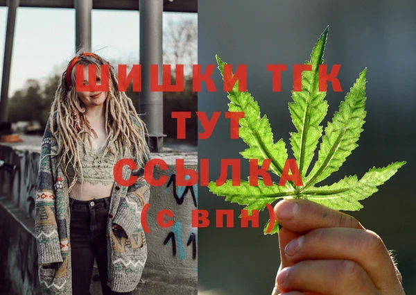 дурь Богданович