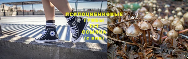 PSILOCYBIN Богородицк